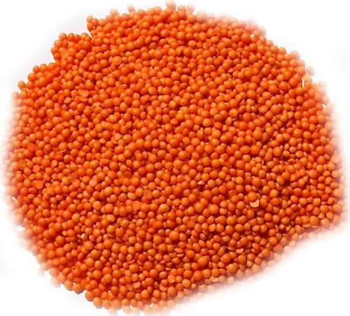 %100 Yerli Türk Malı Kırmızı Futbol Mercimek 5kg (Cilalı)