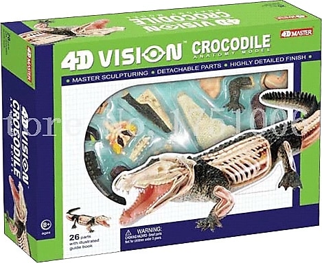 4D Master Vision Timsah Anatomi Modeli