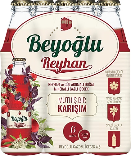 Beyoğlu Reyhan ve Gül Aromalı 250 ml 6'lı Paket Gazoz