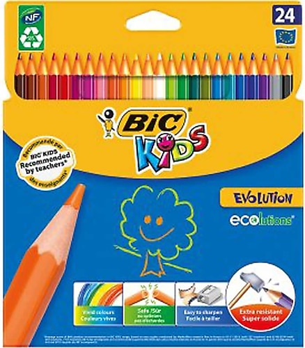 Bic Kids Evolution 24'lü Kuru Boya Seti