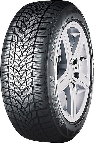 Dayton DW510 Evo 205/55 R16 91H Kış Lastiği - 2024