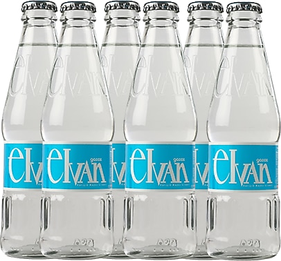 Elvan Gazoz Karışık Meyve Aromalı 250 ml 6'lı