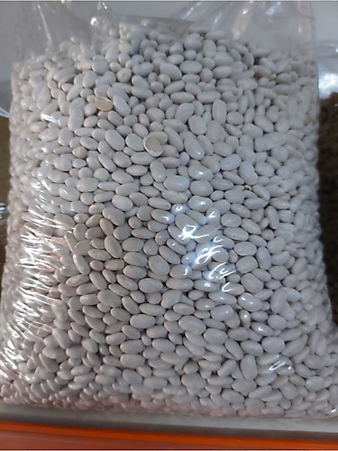 ENGIN Fasulye 5kg Organik Kuru Fasulye