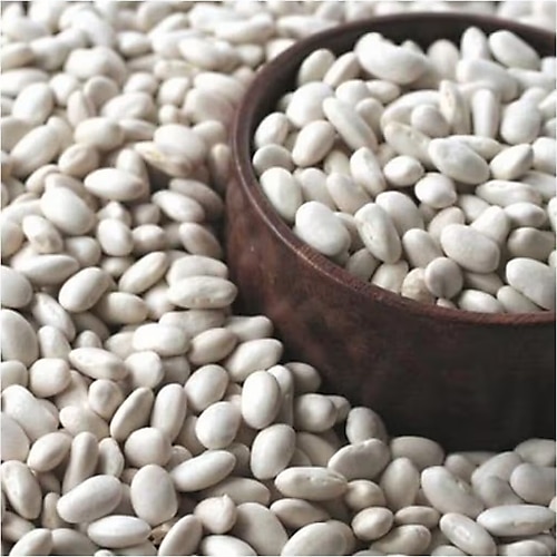 Erzincan Fasulyesi 1 Kg (Dermason)