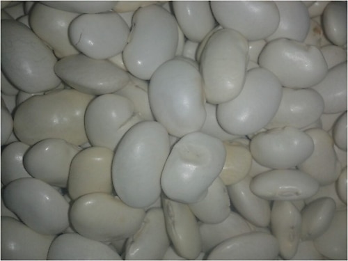 Erzurum yöresel gıda hınıs(horoz)iri fasulye 1 kg