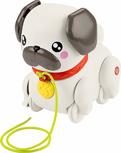 Fisher Price Minik Dostumla Yürüyüş HTW94
