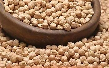 Gaziantep Pazarı Nohut 8 MM 2500 G