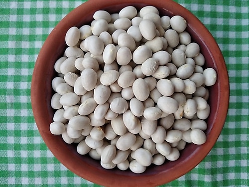 Gaziantep Pazarı Şeker Fasulye 1 kg