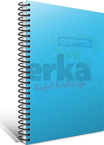 Gıpta Eko Spiralli P.K. A4 80 Yaprak Çizgili