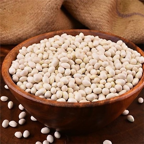 Gurmepark Gerçek İspir Fasulyesi 1 KG