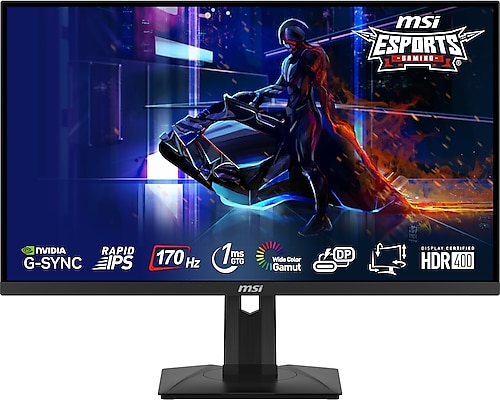 MSI G274QPF 27" 1 ms WQHD FreeSync Oyuncu Monitörü