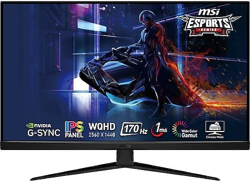 MSI G321Q 31.5" 1 ms WQHD Oyuncu Monitörü
