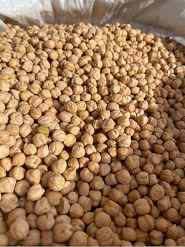NOHUTCU PİŞEN NOHUT 5 KG