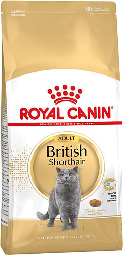 Royal Canin British Shorthair 10 kg Yetişkin Kedi Maması