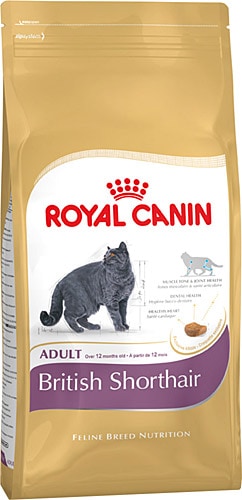 Royal Canin British Shorthair 4 kg Yetişkin Kedi Maması