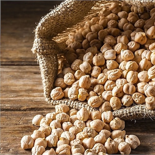 SERİNCE 8 Mm Nohut 5 Kg