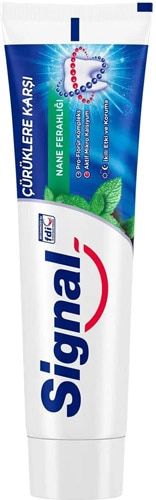 Signal Çürüklere Karşı 100 ml Diş Macunu