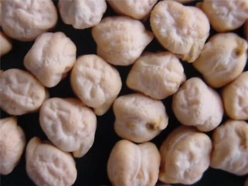 Yerli Yemeklik Nohut 1 KG